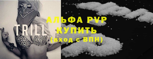 гашик Алексин