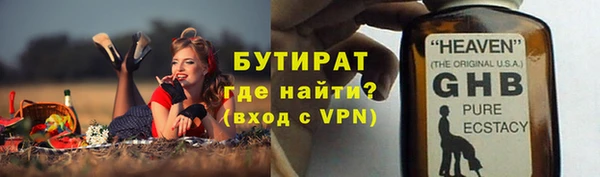 гашик Алексин