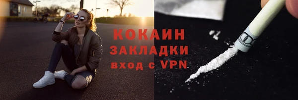 гашик Алексин